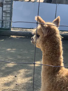 神戸どうぶつ王国に投稿された画像（2022/1/10）