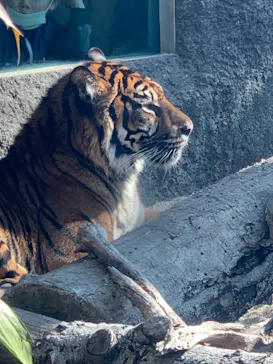 神戸どうぶつ王国に投稿された画像（2022/1/10）