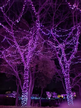 東武動物公園に投稿された画像（2022/1/10）