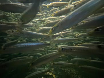 株式会社Gに投稿された画像（2022/1/10）