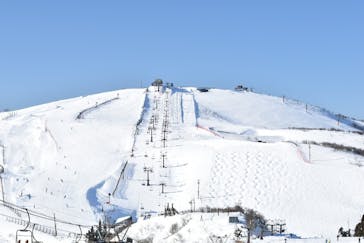 びわ湖バレイに投稿された画像（2022/1/10）