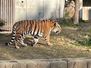 天王寺動物園に投稿された画像（2022/1/10）