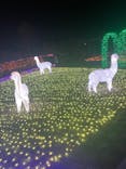 東武動物公園に投稿された画像（2022/1/11）