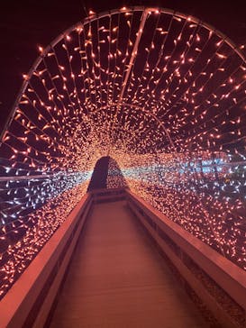 東武動物公園に投稿された画像（2022/1/10）