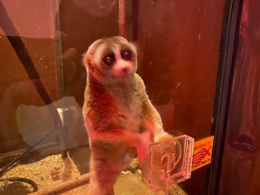 伊豆シャボテン動物公園に投稿された画像（2022/1/10）