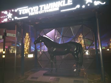 東京メガイルミに投稿された画像（2022/1/10）