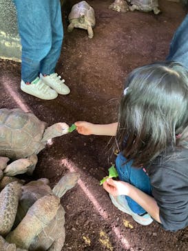 体感型動物園iZooに投稿された画像（2022/1/10）