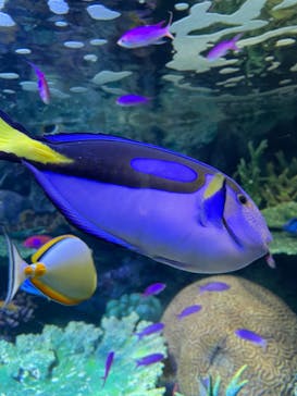 サンシャイン水族館に投稿された画像（2022/1/10）