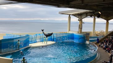 新江ノ島水族館に投稿された画像（2022/1/10）