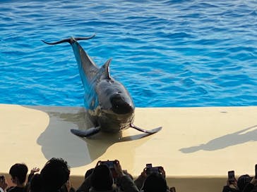 マリンワールド海の中道に投稿された画像（2022/1/11）
