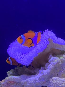 マリンワールド海の中道に投稿された画像（2022/1/11）