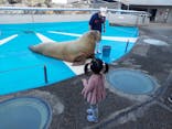 大分マリーンパレス水族館 「うみたまご」に投稿された画像（2022/1/11）