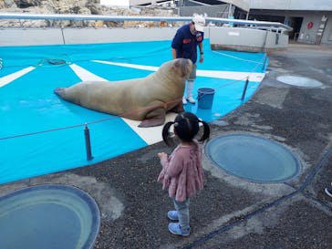 大分マリーンパレス水族館 「うみたまご」に投稿された画像（2022/1/11）