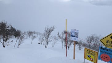 白馬八方尾根スキー場に投稿された画像（2022/1/11）