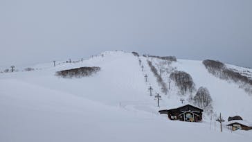白馬八方尾根スキー場に投稿された画像（2022/1/11）
