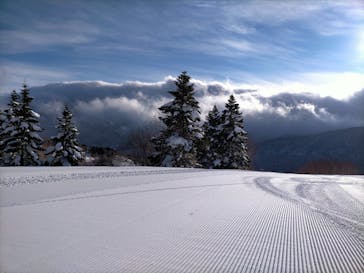 志賀高原マウンテンリゾートに投稿された画像（2022/1/11）