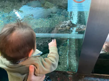 天王寺動物園に投稿された画像（2022/1/11）