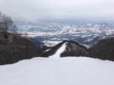 野沢温泉スキー場に投稿された画像（2022/1/11）