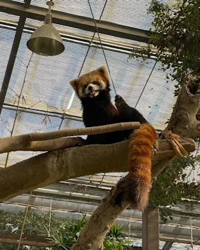 神戸どうぶつ王国に投稿された画像（2022/1/11）