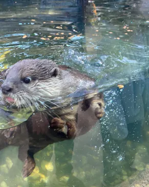 神戸どうぶつ王国に投稿された画像（2022/1/11）