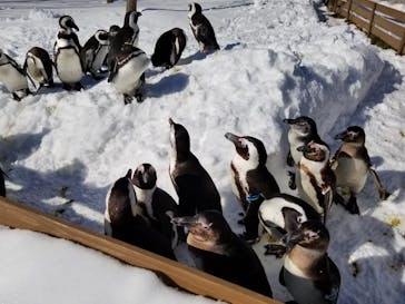 那須どうぶつ王国に投稿された画像（2022/1/11）