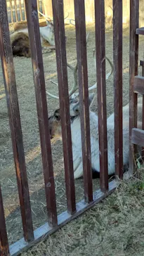 神戸どうぶつ王国に投稿された画像（2022/1/11）