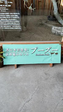 神戸どうぶつ王国に投稿された画像（2022/1/11）