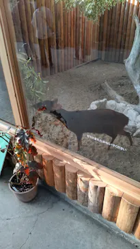 神戸どうぶつ王国に投稿された画像（2022/1/11）