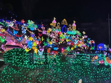 伊豆ぐらんぱる公園に投稿された画像（2022/1/11）