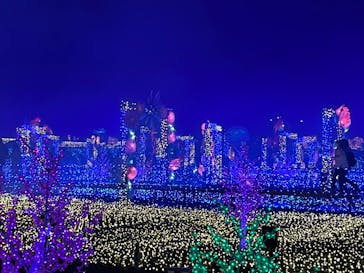 伊豆ぐらんぱる公園に投稿された画像（2022/1/11）