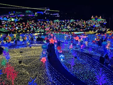 伊豆ぐらんぱる公園に投稿された画像（2022/1/11）