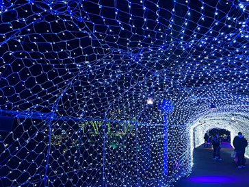 ひらかたパークに投稿された画像（2022/1/11）