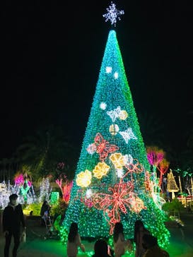 美らヤシパークオキナワ・東南植物楽園に投稿された画像（2022/1/11）