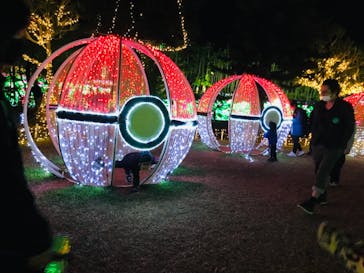 美らヤシパークオキナワ・東南植物楽園に投稿された画像（2022/1/11）