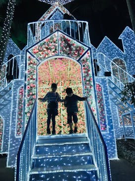 美らヤシパークオキナワ・東南植物楽園に投稿された画像（2022/1/11）