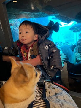 下田海中水族館に投稿された画像（2022/1/11）