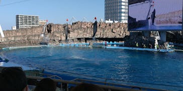 名古屋港水族館に投稿された画像（2022/1/11）