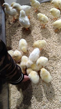 Moff animal world MARK IS みなとみらい店に投稿された画像（2022/1/11）