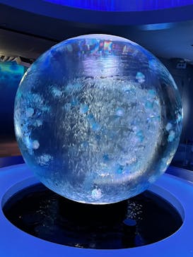 新江ノ島水族館に投稿された画像（2022/1/11）