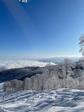 野沢温泉スキー場に投稿された画像（2022/1/11）