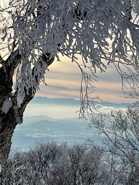 野沢温泉スキー場に投稿された画像（2022/1/11）