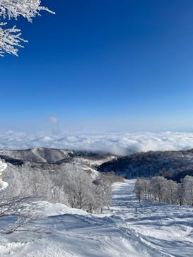 野沢温泉スキー場に投稿された画像（2022/1/11）