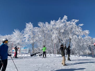野沢温泉スキー場に投稿された画像（2022/1/11）
