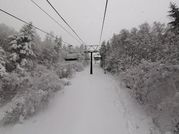 パインビークスキー場に投稿された画像（2022/1/11）