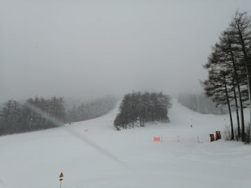 パインビークスキー場に投稿された画像（2022/1/11）