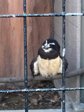 天王寺動物園に投稿された画像（2022/1/11）