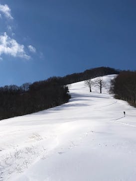 斑尾高原スキー場に投稿された画像（2022/1/11）