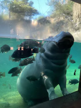 天王寺動物園に投稿された画像（2022/1/11）