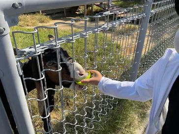天王寺動物園に投稿された画像（2022/1/11）