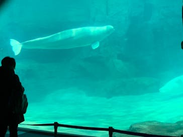 名古屋港水族館に投稿された画像（2022/1/11）